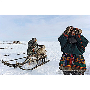 シベリア ネネツ人 遊牧民