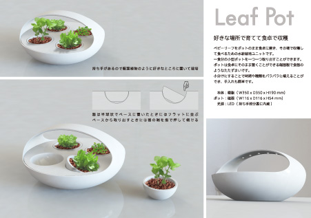 Leaf Pot