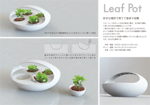 Leaf Pot