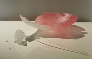 Cocoon～羽化～
