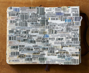 barcodes08.2011-09.2012