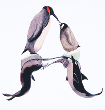 ペンギンはどこへいった？whereabouts of the penguins