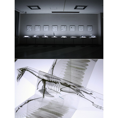 オリツナグモノ