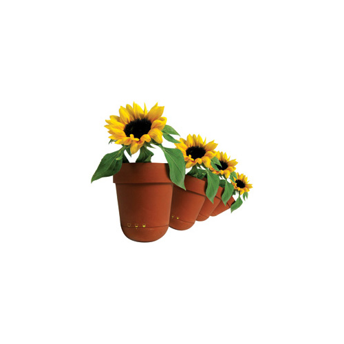 Roly Poly Pot