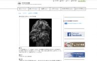 5月31日まで「第15回全日本モノクロ写真展」作品募集