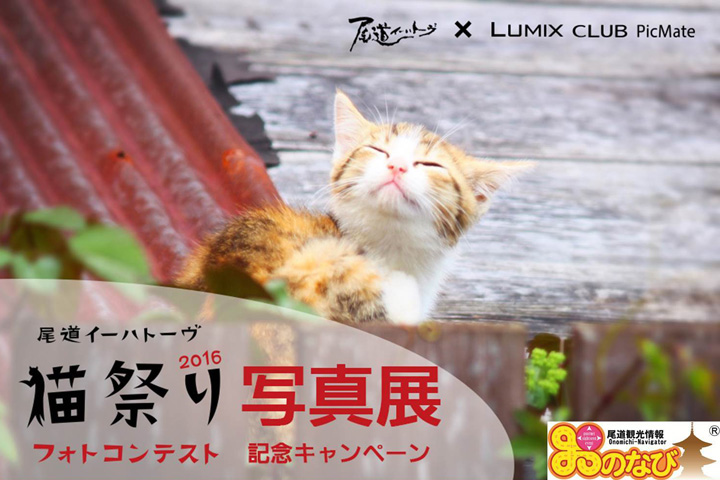 【イベント】「尾道イーハトーヴ 猫祭り2016 フォトコンテスト写真展」、11月11日まで開催中