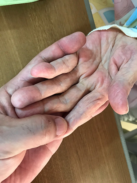 102歳、祖母の手