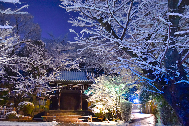 雪夜の法明寺