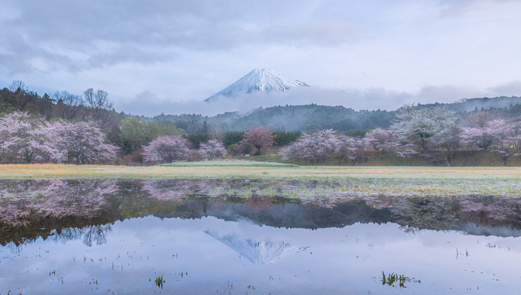 朝靄と