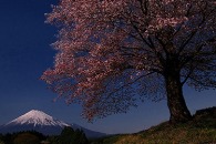 第19回 富士山百景写真コンテスト