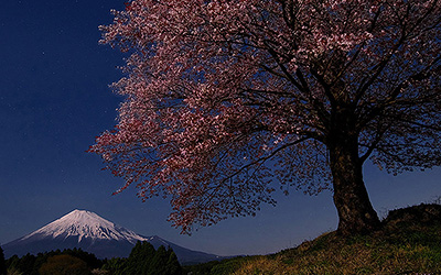 第19回 富士山百景写真コンテスト