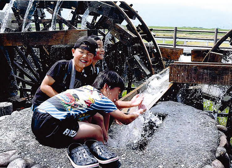 初夏の水遊び