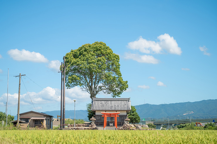 五穀豊穣を願って