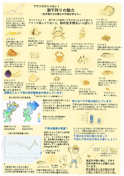 アサリだけじゃない！ 潮干狩りの魅力 ～生き物たちの暮らす干潟を守ろう～