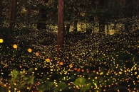 第3回 「写書」大賞