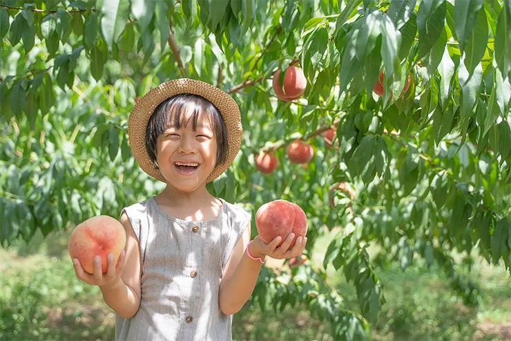 両手に桃！