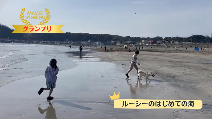 ルーシーのはじめての海（キッズ部門）