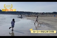 キッズ＆ティーンズ SDGs動画コンテスト《19歳以下限定》