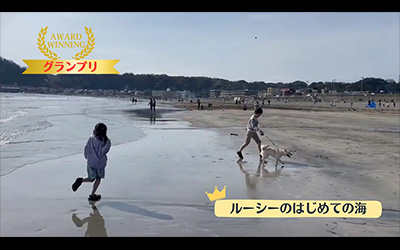 キッズ＆ティーンズ SDGs動画コンテスト《19歳以下限定》