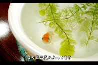 好きを伝えよう　学生映像制作プロジェクト vol.2