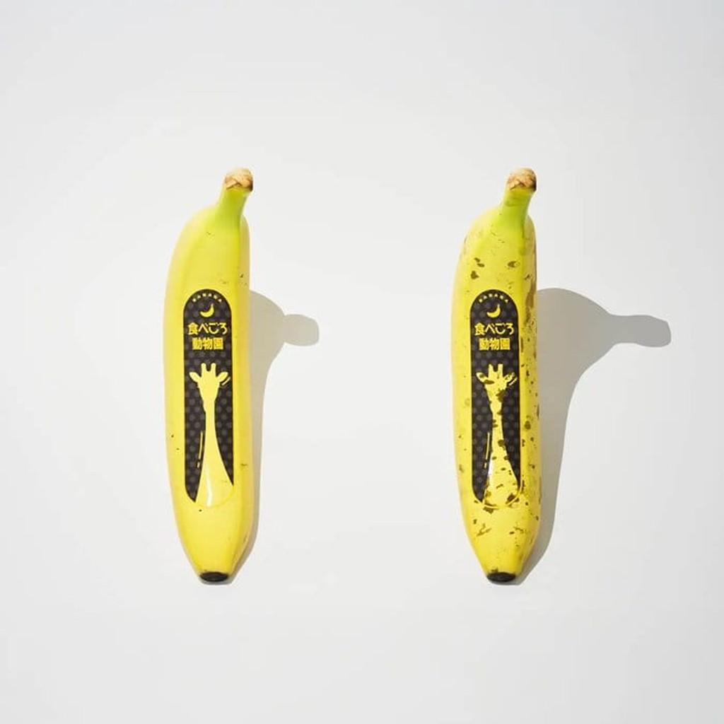 大賞受賞作品「食べごろ動物園」