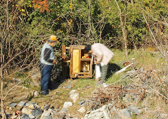 移住者の家_2025 ─ ゲニウスロキを捕まえる12年の営み ─