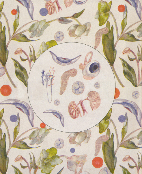 When I Look at Flowers