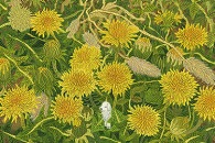 第20回 TIS公募 作品募集