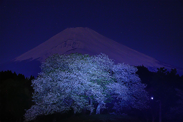 霊峰に輝く