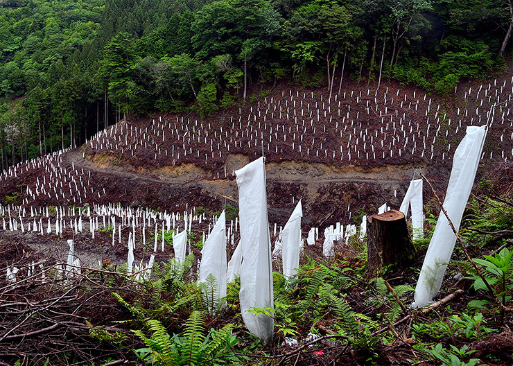 アートなシェルター