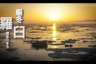 Drone Movie Contest 2025