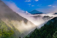 第42回 しずおか森林写真コンクール