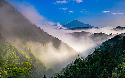 第42回 しずおか森林写真コンクール