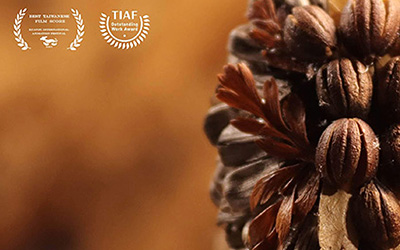 2025年 台湾国際学生デザインコンペティション《学生限定》