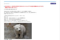 【公募情報】男鹿水族館GAOが、ホッキョクグマの赤ちゃんの名前を3月22日まで募集中