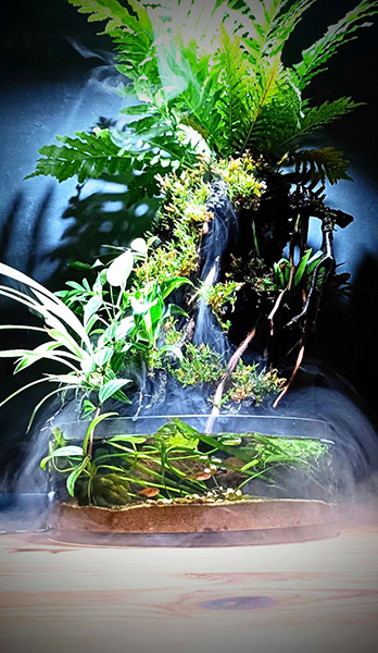 Desktop Jungle